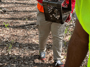 Apr 20, 2022 at 7_44 PM (1)